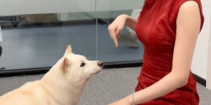 【大发体育】真是条舔狗！解说鼓鼓怀抱爱犬：真是令人羡慕嫉妒恨呀~，大发助力你的致富之路！