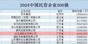 【大发体育】2024中国民营企业500强榜单：京东营收破万亿,比亚迪排名仅次腾讯，大发助力你的致富之路！