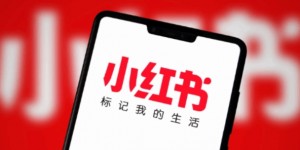 【大发体育】都来”逃难”了！曝小红书本月总下载量有22%来自美国，大发助力你的致富之路！