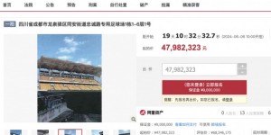 【大发体育】成都市龙泉驿区专用足球场将进行司法拍卖，起拍价4798.2万，大发助力你的致富之路！