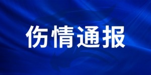 【大发体育】罗森文左脚距腓前韧带撕裂，预计恢复时间约6-8周，大发助力你的致富之路！