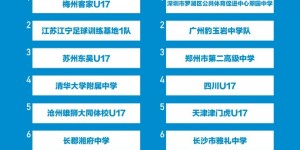 【大发体育】2024年第三届中青赛（男子U17组）全国总决赛第二阶段分组出炉，大发助力你的致富之路！