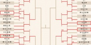 【大发体育】日本高中足球锦标赛8强：东福冈、前桥育英、流通经济大柏在列，大发助力你的致富之路！