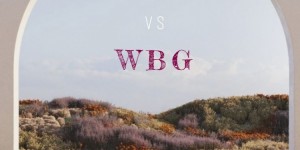 【大发体育】王多多更新动态：5点解说揭幕战WBG vs OMG，搭档鼓鼓，大发助力你的致富之路！