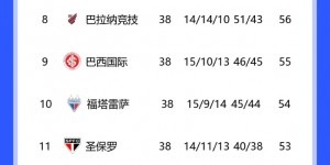 【大发体育】掉链子翻车?博塔弗戈巴甲半程领先16分，随后11轮不胜最终第五，大发助力你的致富之路！