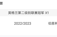 【大发体育】冠军DNA🏆孔帕尼球员生涯14冠+伯恩利首年即夺冠，凯恩别慌😏，大发助力你的致富之路！