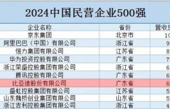 【大发体育】2024中国民营企业500强榜单：京东营收破万亿,比亚迪排名仅次腾讯，大发助力你的致富之路！