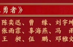 【大发体育】等不及了！陈奕迅《孤勇者》是央视总台2025春晚第20个节目😎，大发助力你的致富之路！