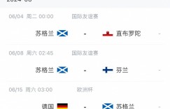 【大发体育】苏格兰欧洲杯28人初选名单：罗伯逊、蒂尔尼、麦克托米奈在列，大发助力你的致富之路！