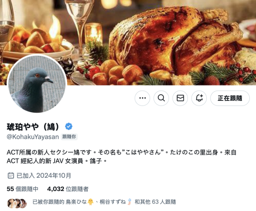 G乳大型新人现身！那只「鳩」的真面目是？